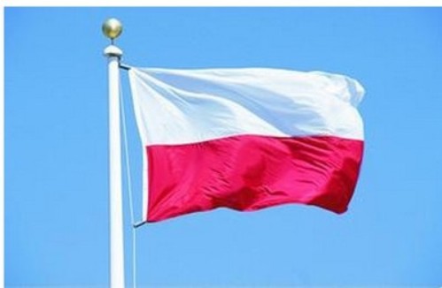 波兰专利申请